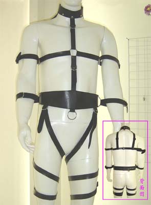 100-R-31P